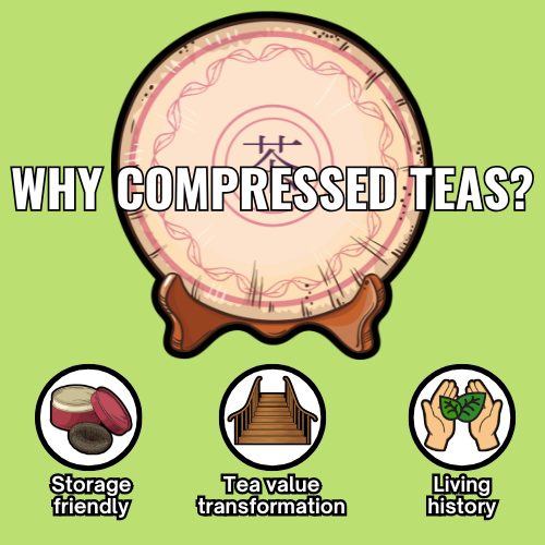 Terminology - material - EN (2)